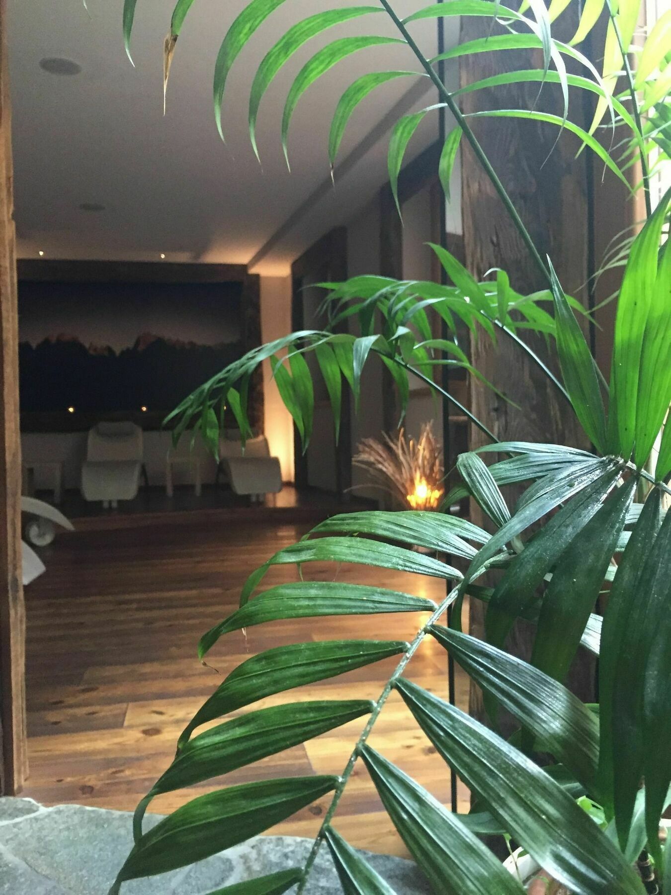 Maribel Hotel Madonna Zewnętrze zdjęcie